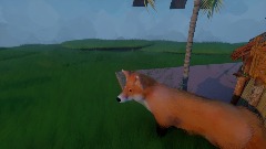 Fox obby