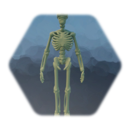 Skeleton