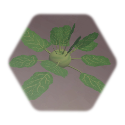 Community Garden 2.5: Kohlrabi