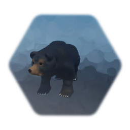 Black Bear Enemy