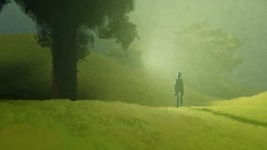 Walk Through The Forest