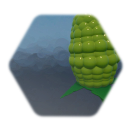 Corn