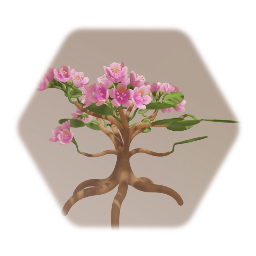 Pacific Rhododendron