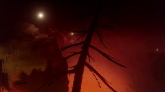 The Old Forest