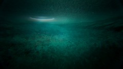 Cold water (fR0ZEN H0PE project)