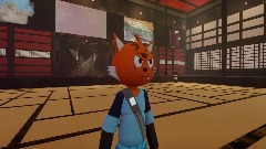 Ninja cat remake test