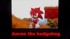 Aaron the hedgehog
