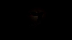 Vent chase