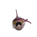 leomarsagl