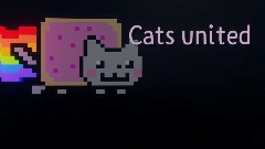 Cats united