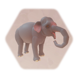 Zoo - Asian Elephant