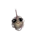 Sr_Myers_274