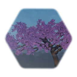 Japanese Cherry Tree