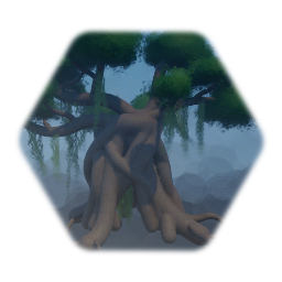 Wide, Hallow Swamp Tree