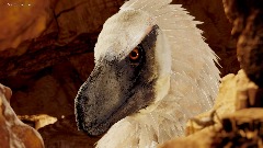 A screenshot taken in Dreams. 1 of 1.