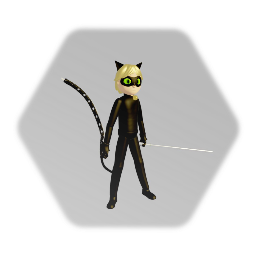 Cat Noir/Adrien Miraculous