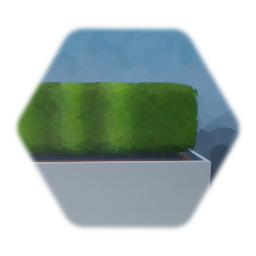 Bush in pot
