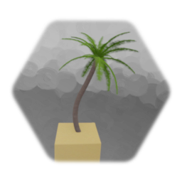Palm Tree