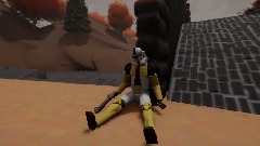 The 310th Legion