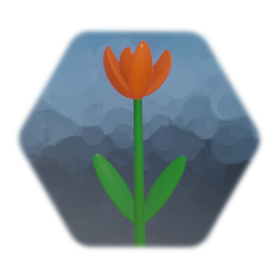 Orange Tulip Childhood Flower