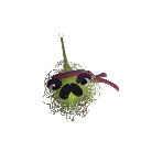 GamerToad10