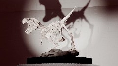 A screenshot taken in Dreams. 2 of 3.