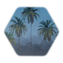 Coconut Tree