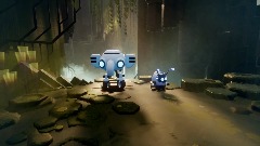 The Search for a Heart