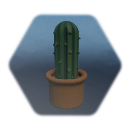 Small Potted Cactus
