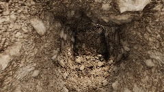 Photorealistic Scene