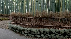 A screenshot taken in Dreams. 20 of 25.