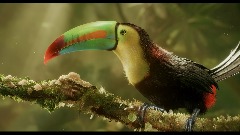 A screenshot taken in Dreams. 9 of 13.