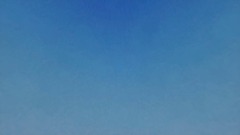 Immortality - Bashniix