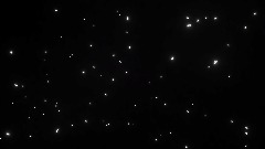 THE BINARY TRANSLATOR