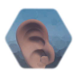 Ear (Human)