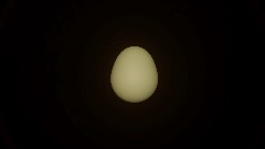 What is in the egg?