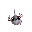 BlackVikk