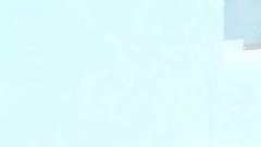 The cat game.stage 1:the dusty bizerc