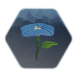 Morning Glories
