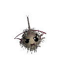 Alucardius_C