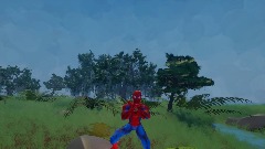 Spider swamp
