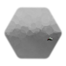 Fly