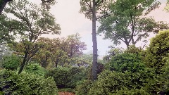 A screenshot taken in Dreams. 2 of 25.