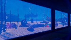 Wacko Aquarium