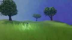 Grassy hill terrain