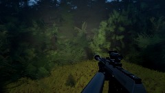 First person Shooter