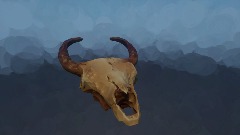 Bull/Cow Skull