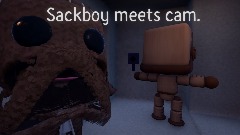 Sackboy meets cam!!!