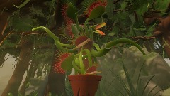 Vincent Venus Puppet Showcase