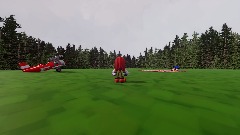 Knuckles